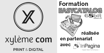  Xylème communication 